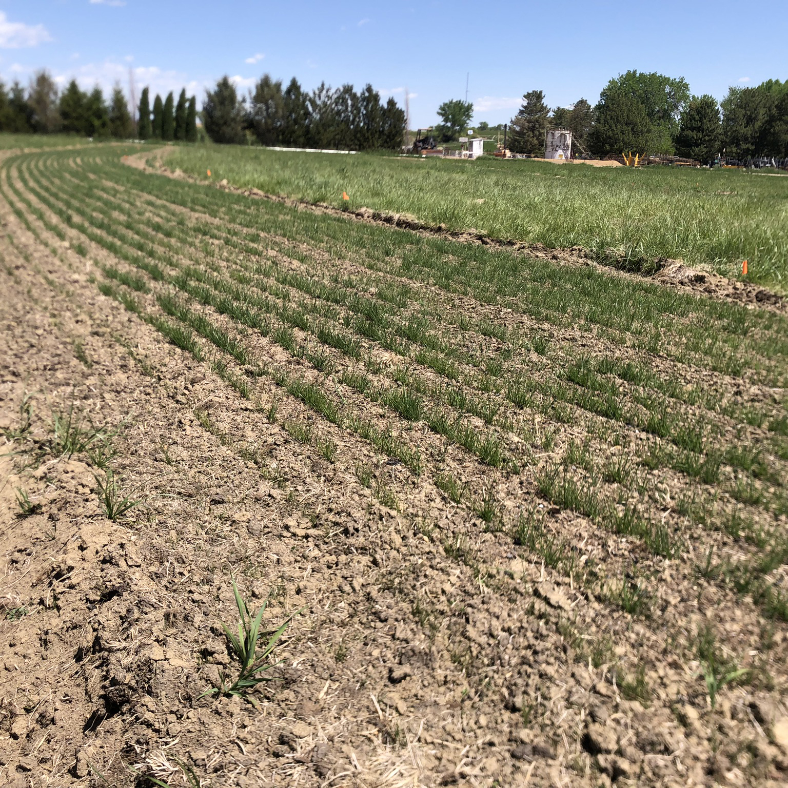 73817813811__83130C42-4058-4ACD-AC41-CA1F39A260FF